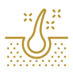 protocolos capilares